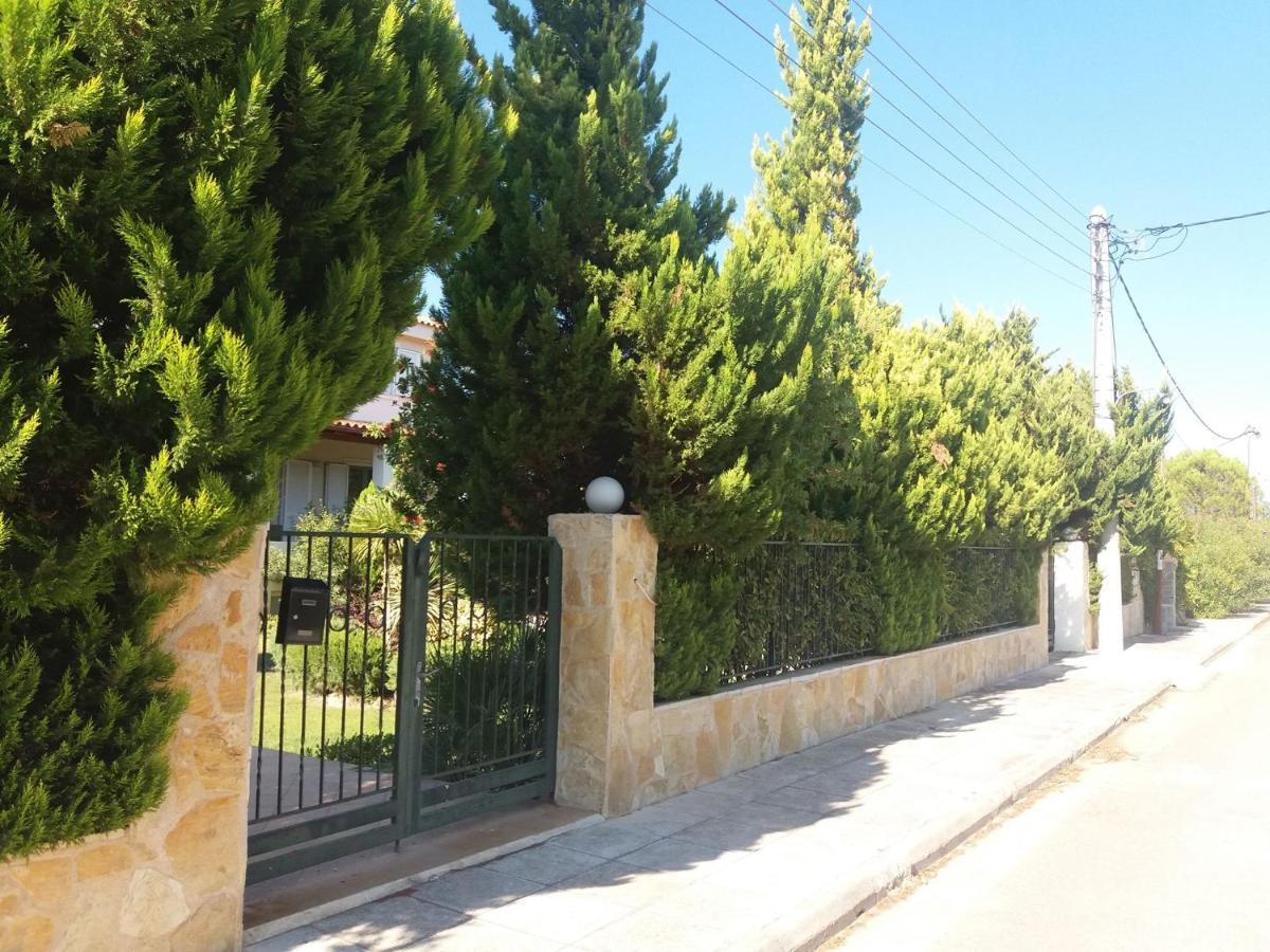 Beautiful Summer Villa In Chalkoutsi Khalkoutsion Exterior photo